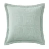 Beechwood Square Cushion In Dew